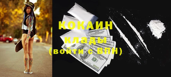 шишки Кинешма